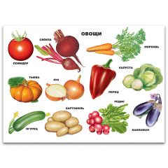 Плакат Овощи =Проф-Пресс= (арт.226-07)