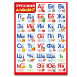 Плакат Русский Алфавит (печатные и прописные буквы) (арт.211-25)0
