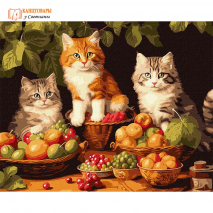 Картина по номерам "Котики и фрукты" 50х40 (арт.710-30)